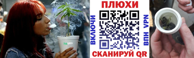 где купить   Дзержинский  Гашиш индика сатива 